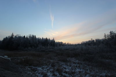 Trees against sky during sunset in winter