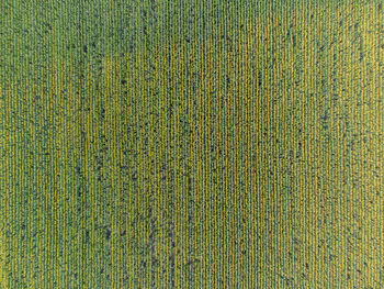 Full frame shot of yellow wall