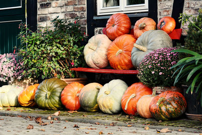 Pumpkins on footpath for sale