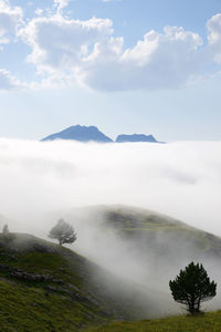 Mist in candanchu, pyrenees, canfranc valley in spain.