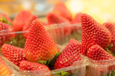 Close-up of strawberries