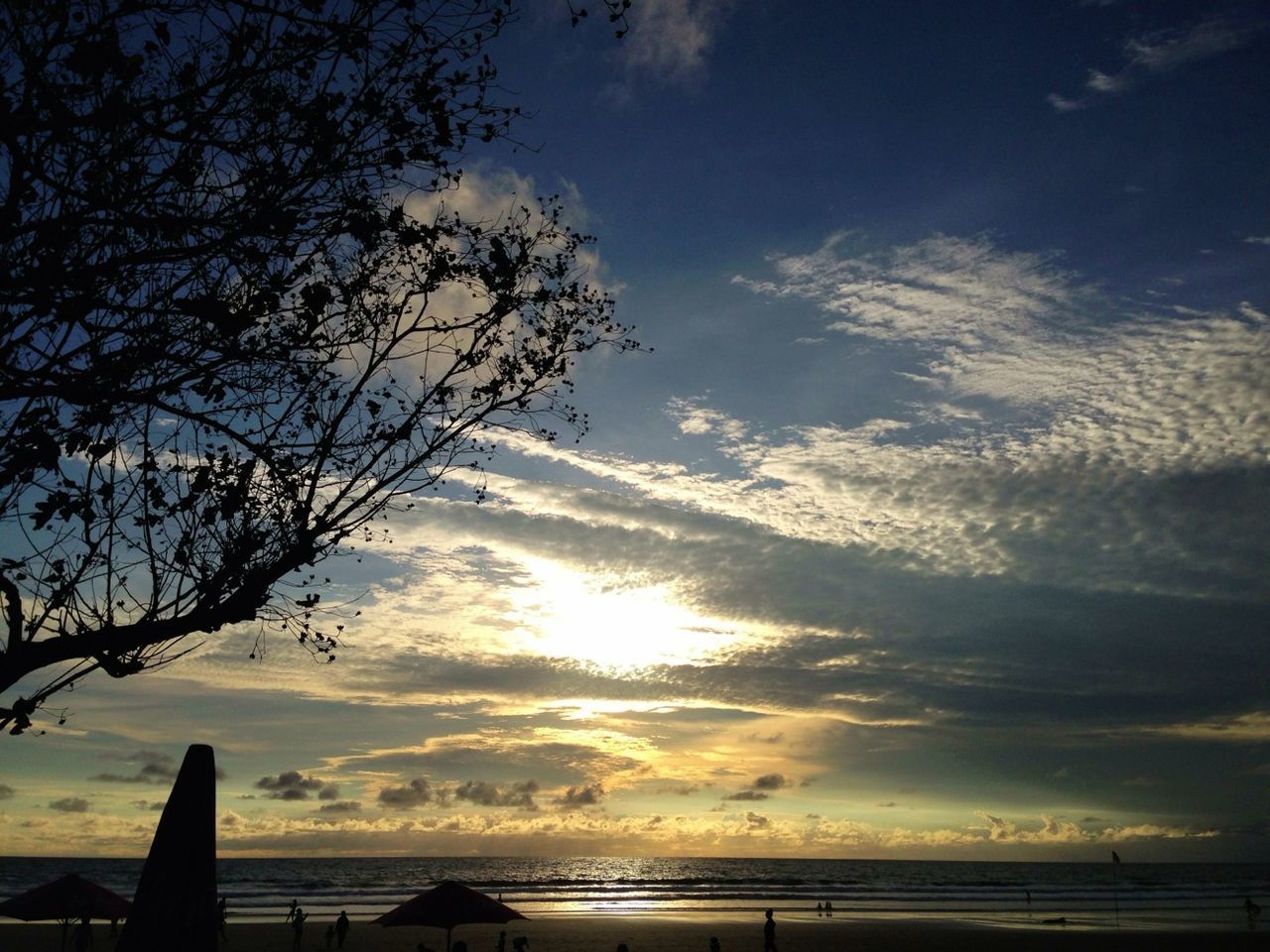 sky, sunset, tranquility, tranquil scene, scenics, beauty in nature, silhouette, sea, nature, cloud - sky, water, tree, horizon over water, idyllic, sun, cloud, sunlight, branch, outdoors, beach