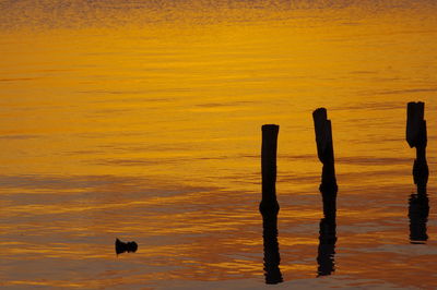 Wooden post in sea