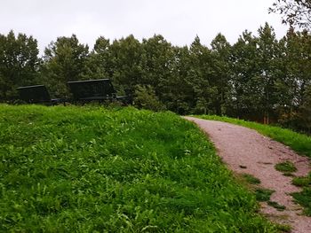 Footpath amidst trees on field against sky