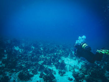 Man swimming in sea