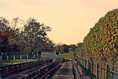 Road amidst trees against clear sky