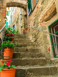 Low angle view of potted plants on wall of old building