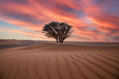 Scenic view of desert against sky during sunset