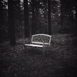 Empty bench in park