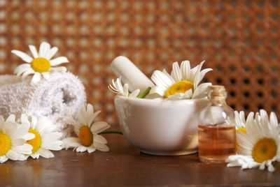 Close-up of white daisy flowers on table