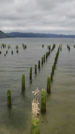 Wooden posts in sea against sky