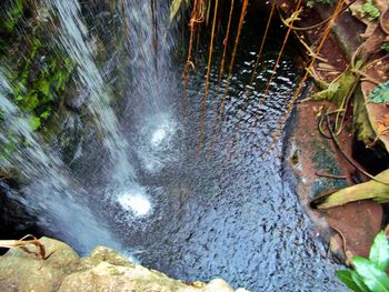 Close-up of waterfall in forest