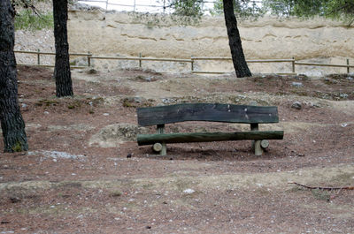 Bench on tree