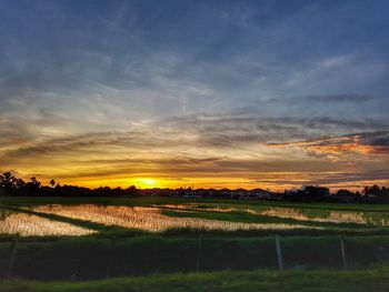 Scenic view of field against sky during sunset