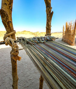 Trees on beach against clear blue sky