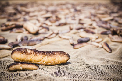 Close-up of dead sea cucumbers on netting