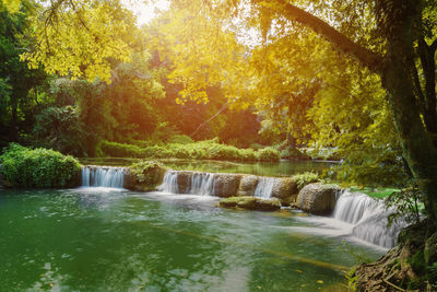 Scenic view of waterfall in forest during autumn