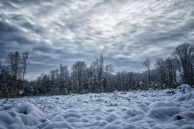 Snow covered field against sky