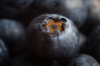 Macro photo of ripe blueberries