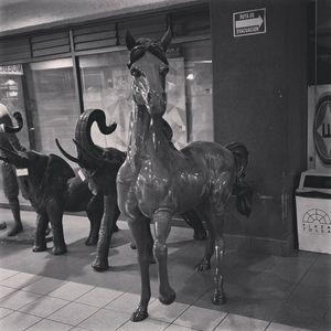 Statue of horse