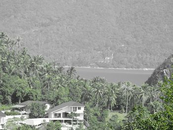 Scenic view of lake by trees against sky