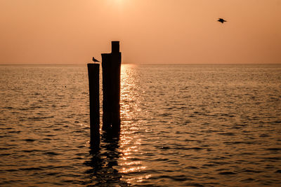 Wooden posts in sea at sunset