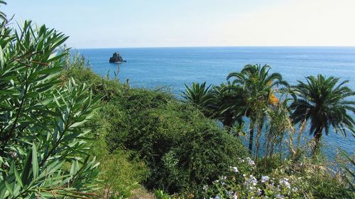 Scenic view of sea against clear sky