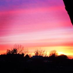 Silhouette of trees at sunset