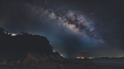 Low angle view of trees against sky at night