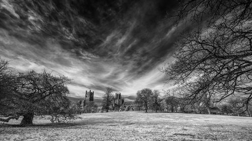 Bare trees on field against sky