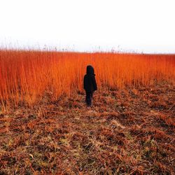 Woman standing on field against clear sky