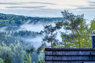 Scenic view of a  foggy landscape 