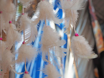 Close-up of feather hanging outdoors