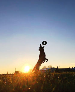 Silhouette person playing with ball on field against sky during sunset