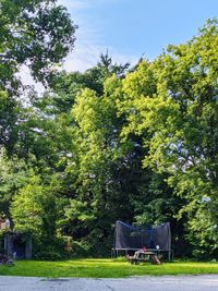 Trees in park against sky