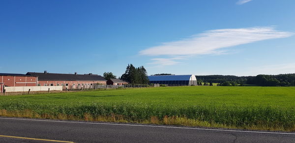 Scenic view of field against blue sky