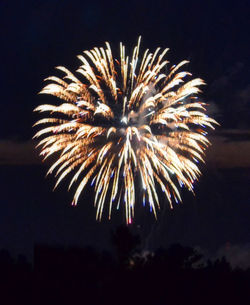 Low angle view of firework display at night