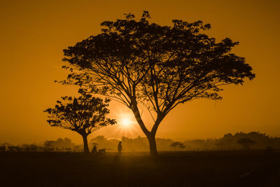 Silhouette tree on field against orange sky