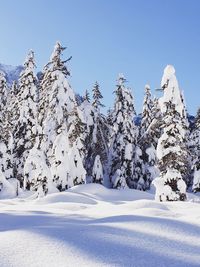 Scenic view of snow covered mountains against sky