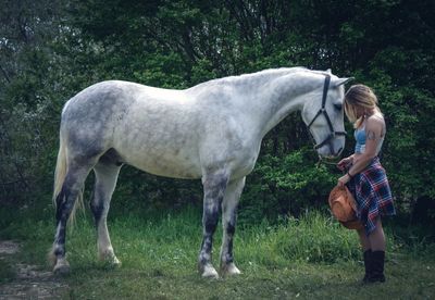 Full length of horse standing on grass