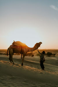 View of horse on sand at beach against sky