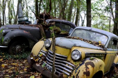 Abandoned car in forest