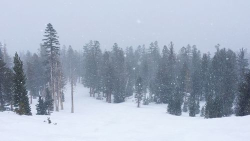 Scenic view of snow covered landscape