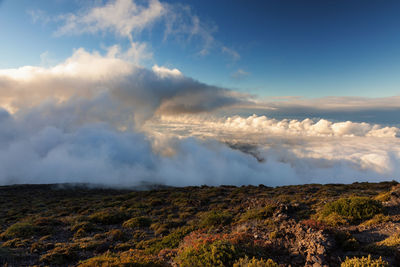 Scenic view of landscape against sky during sunset