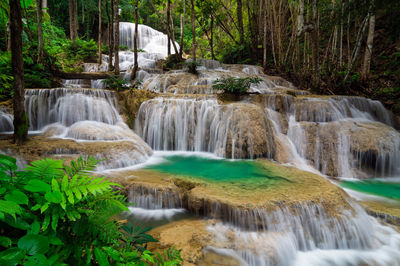 Scenic view of waterfall in forest