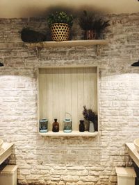 Potted plant on shelf at home