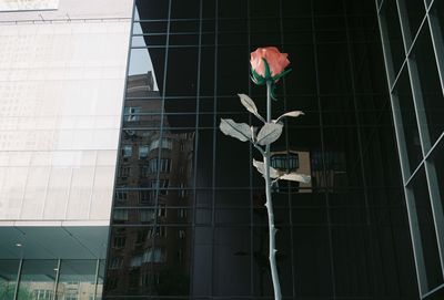 Low angle view of building