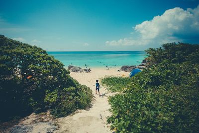 Rear view of boy walking at beach against blue sky