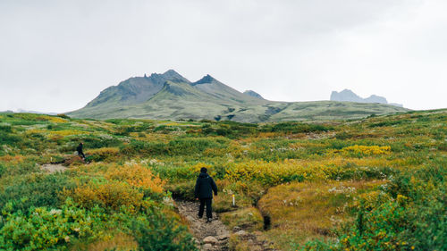 Rear view of people walking on landscape against sky