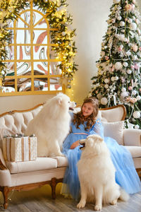 Nice girl in a light blue dress with gift box and two white samoyed